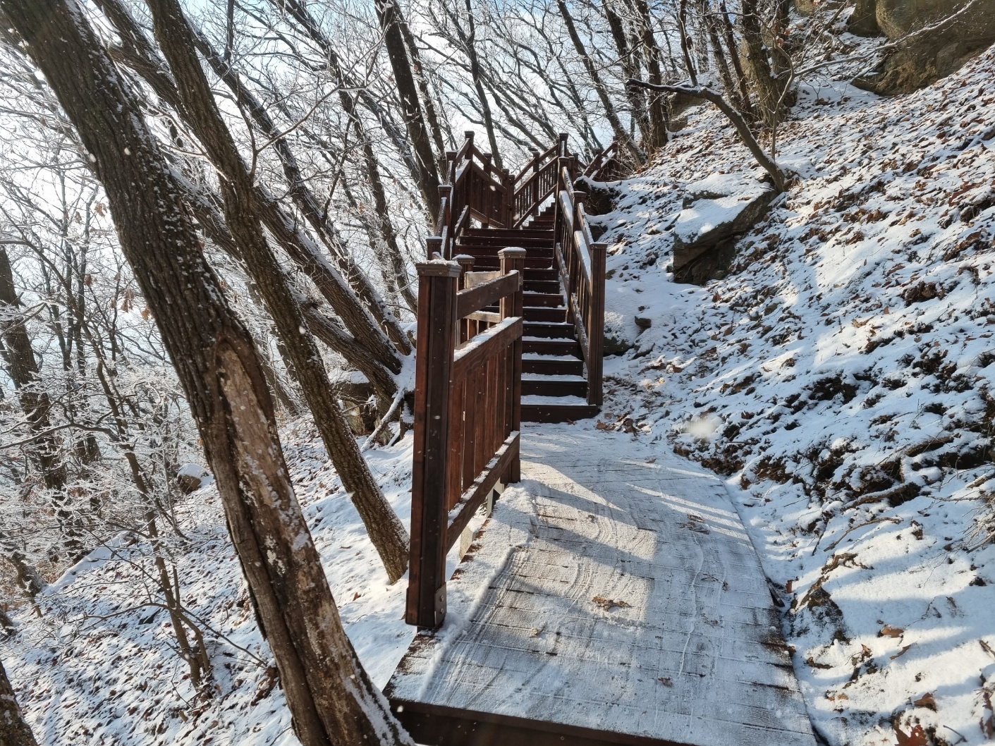천마산 친환경 목재데크 산책로 시공 — 사진 24