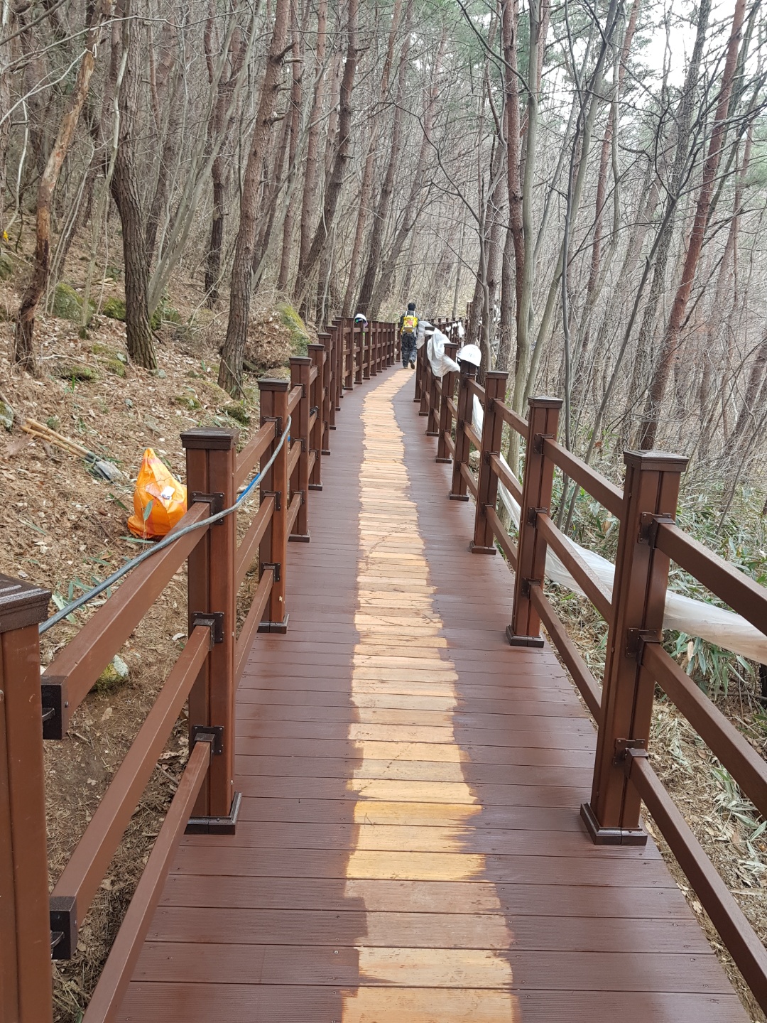 청라공원 친환경 합성목재 데크로드 산책로 — 사진 6