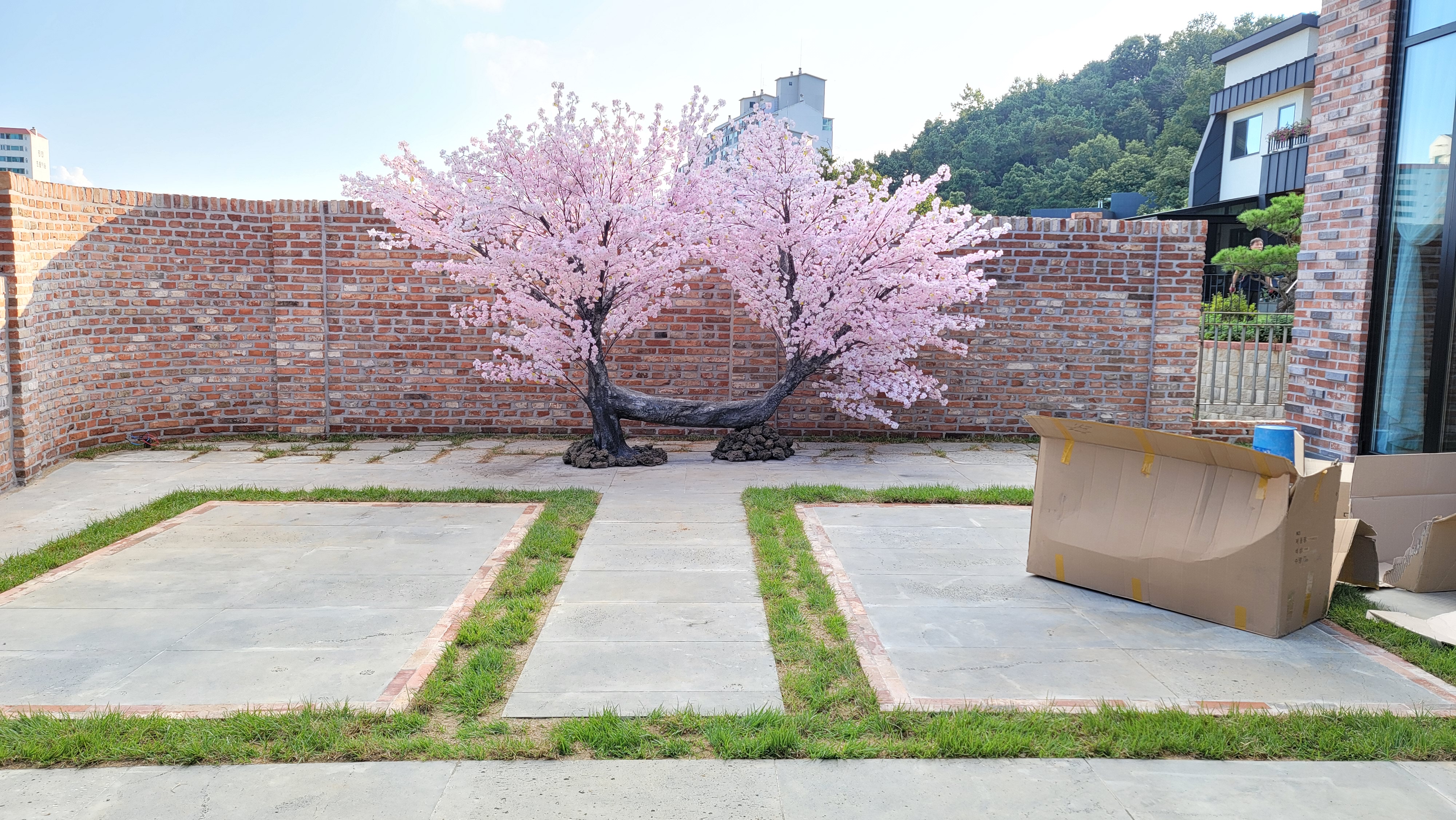 파주 카페 체인지 벚꽃 포토존 — 사진 3