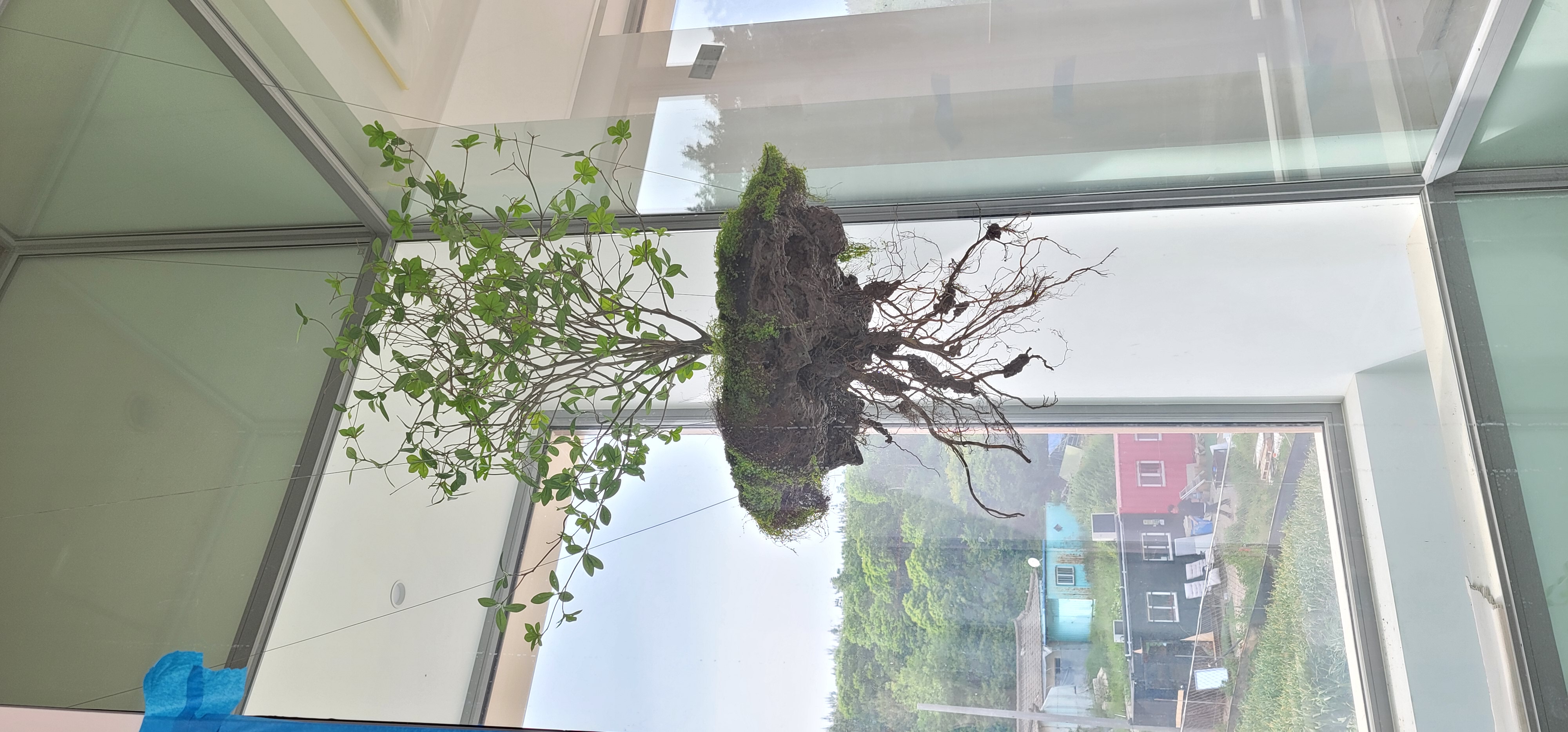 나무의 공중부양(Teleport Tree) 공간 연출 — 사진 2
