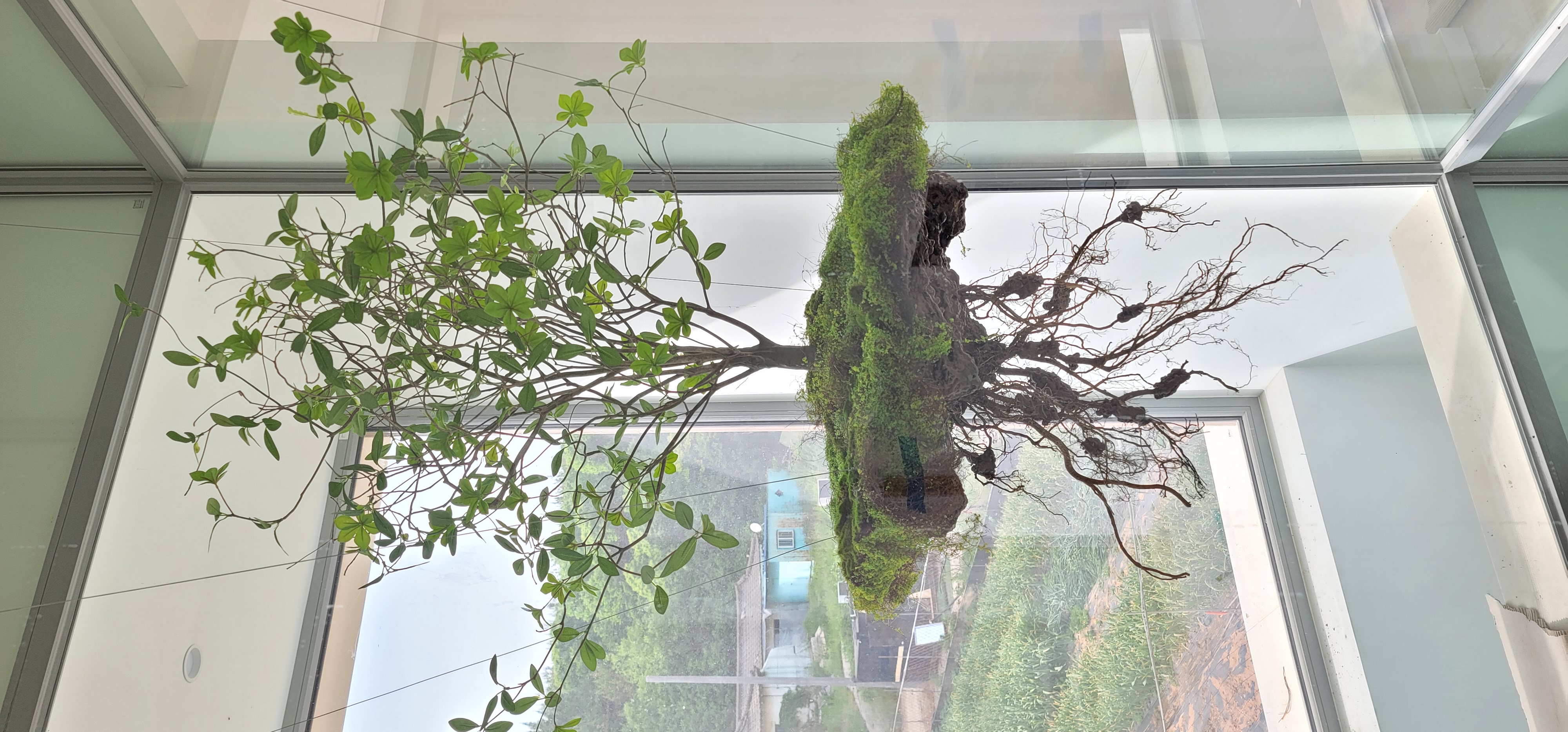 나무의 공중부양(Teleport Tree) 공간 연출 — 사진 3